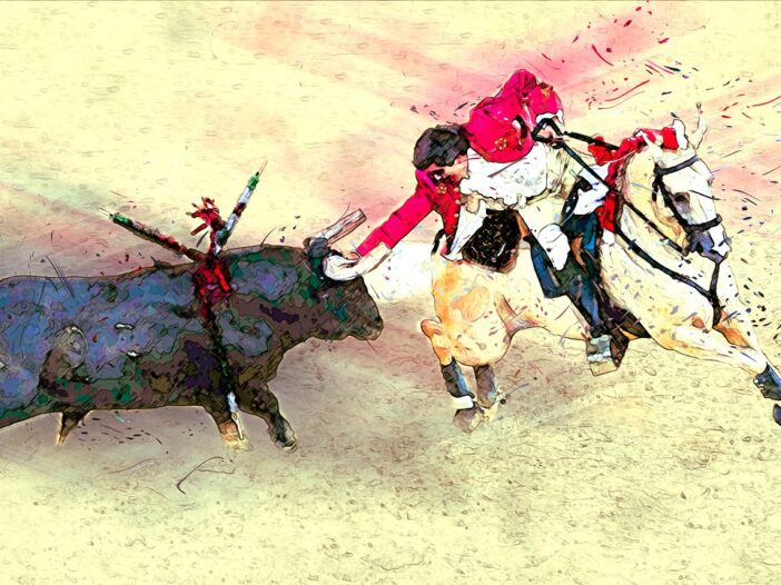 Los toros_sinconsenso.com